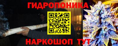 соль ск Ипатово