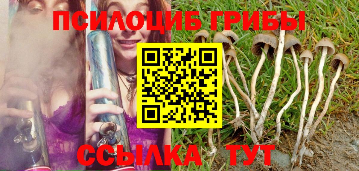 закладки  Галлюциногенные грибы Magic Shrooms  Менделеевск  Вход с VPN  Галлюциногенные грибы Cubensis 