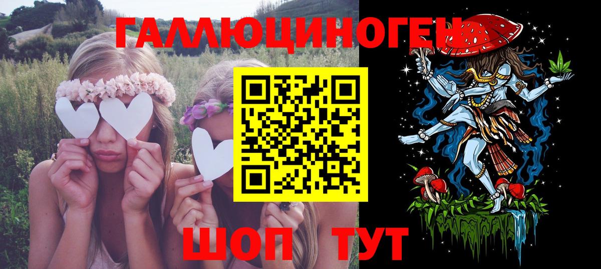Галлюциногенные грибы Psilocybine cubensis Менделеевск